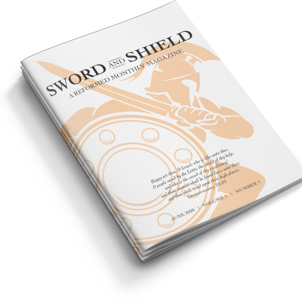 vpn shield subscription 2