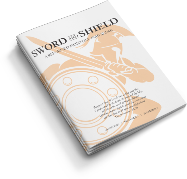 Sword and Shield Annual Digital Subscription Add-On